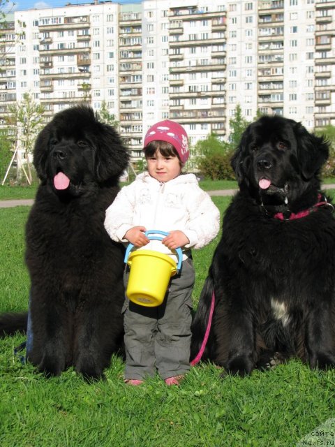 Фотография № 67487