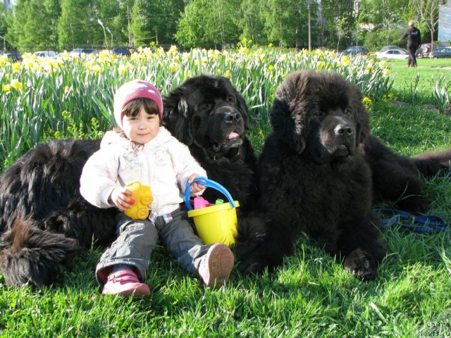 Фотография № 67488