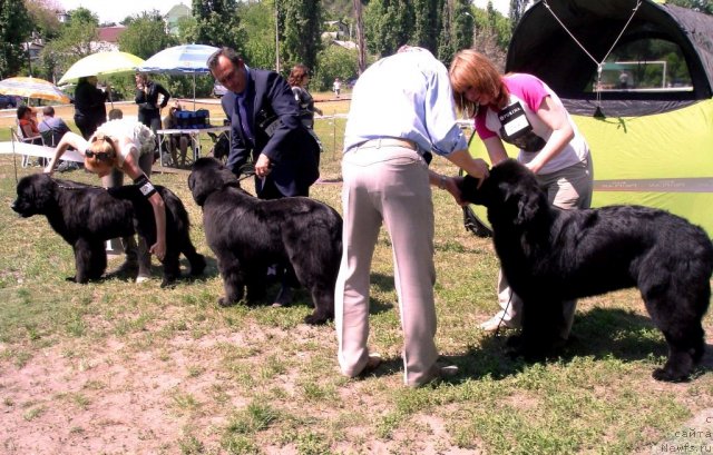 Фотография № 67495