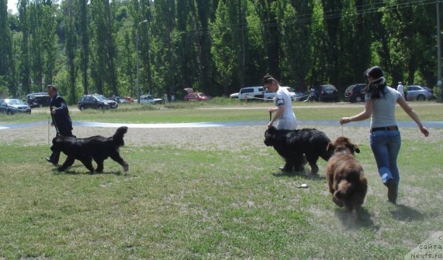 Фотография № 67498