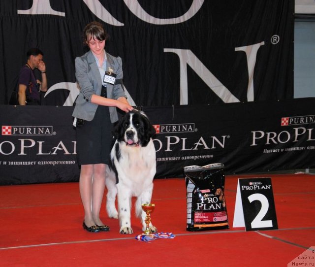 Фотография № 67530