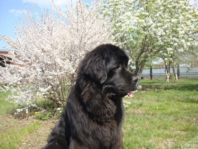 Фотография № 67541