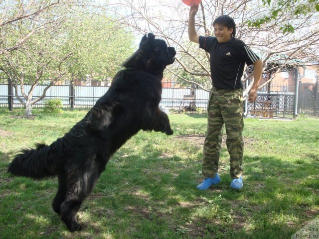 Фотография № 67543