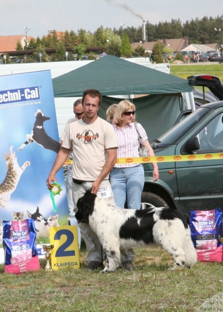 Фотография № 67557