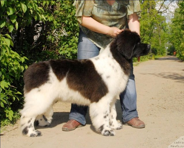 Фотография № 67561