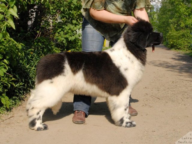 Фотография № 67562