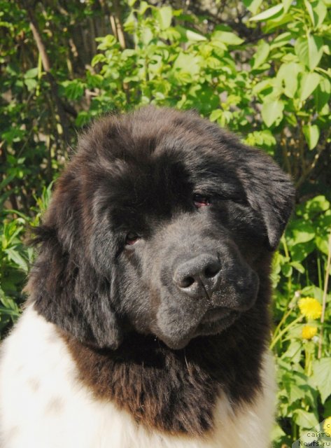 Фотография № 67566