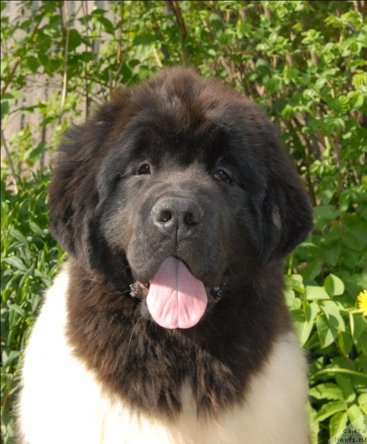 Фотография № 67567