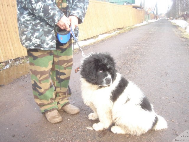 Фотография № 67572