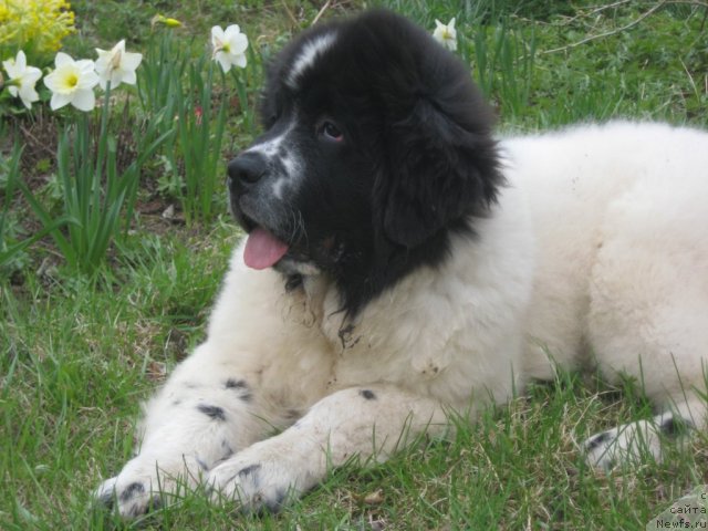 Фотография № 67583