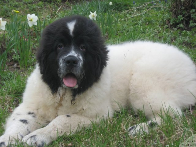 Фотография № 67584