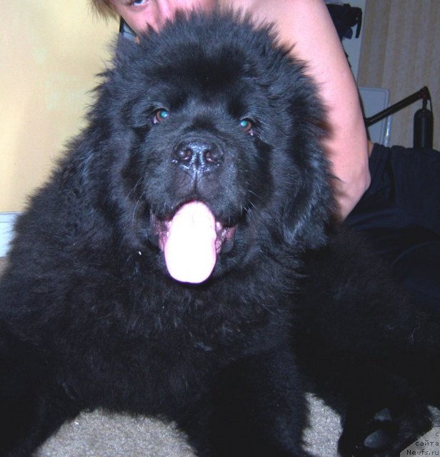 Фотография № 67588