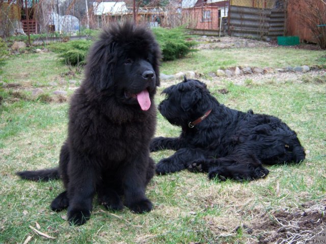 Фотография № 67590