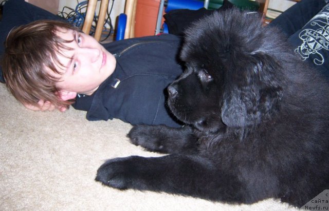 Фотография № 67592