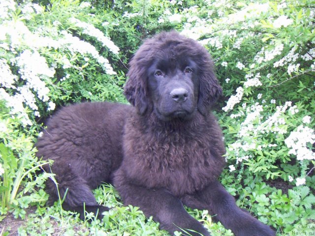 Фотография № 67593