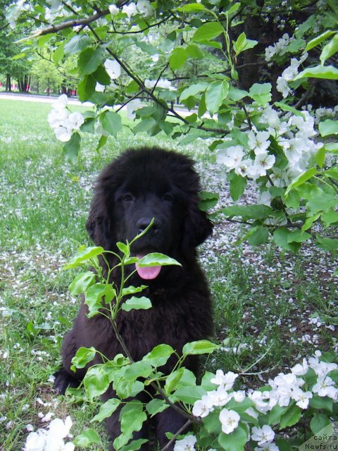 Фотография № 67594