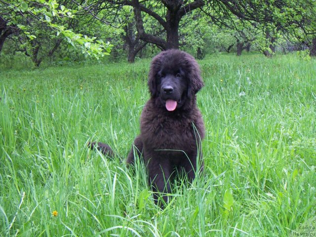 Фотография № 67596