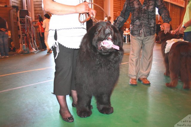 Фотография № 67601