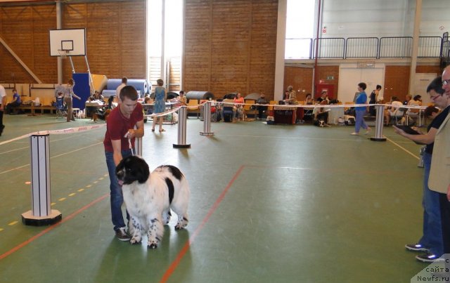 Фотография № 67611