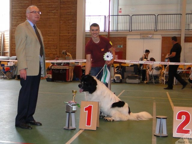 Фотография № 67612