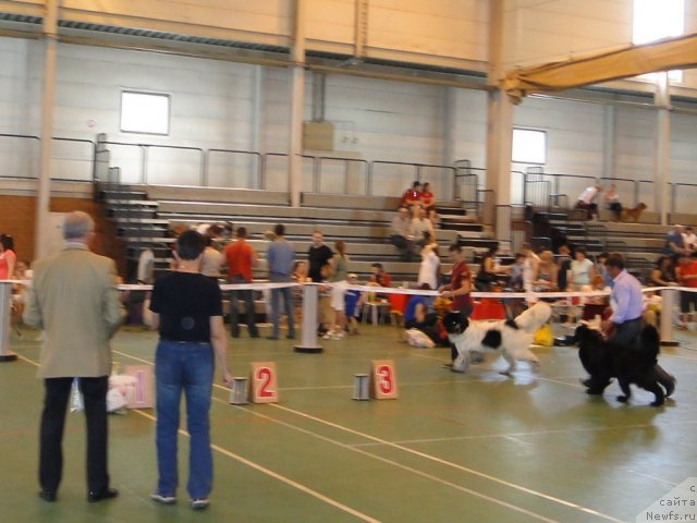 Фотография № 67614