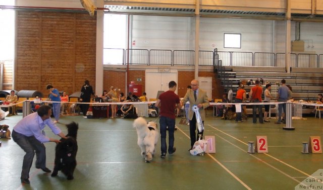 Фотография № 67615