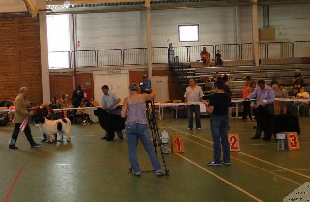 Фотография № 67626