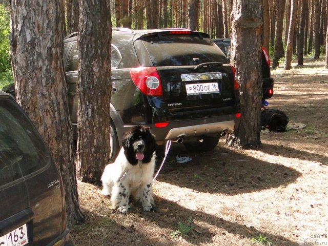 Фотография № 67631