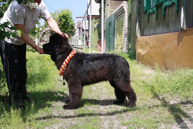 Фотография № 67637