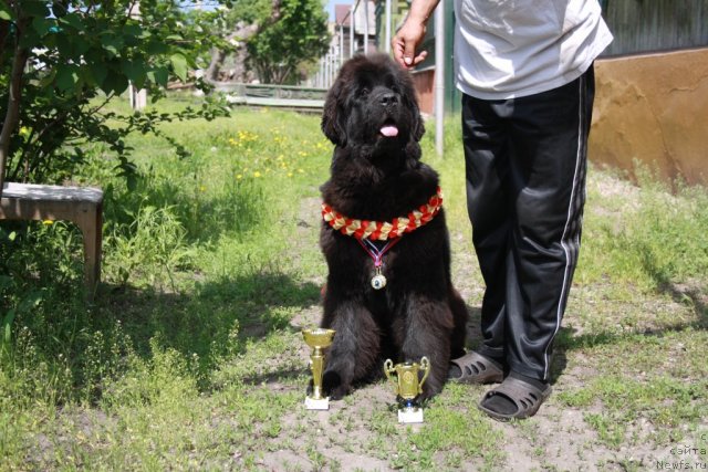 Фотография № 67638