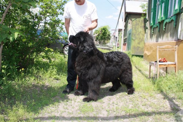 Фотография № 67643