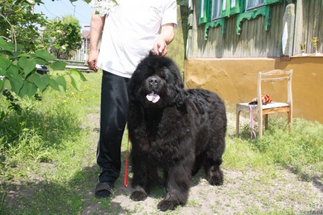 Фотография № 67644