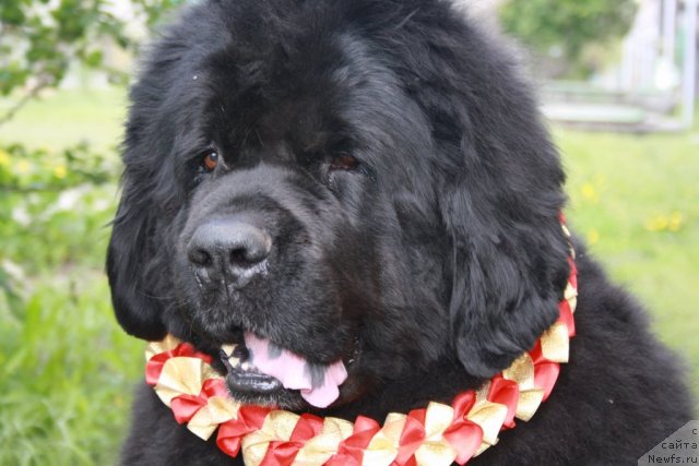 Фотография № 67646