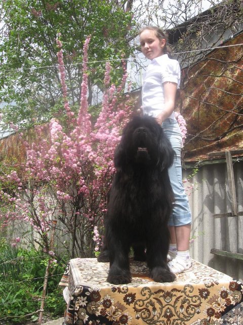 Фотография № 67653