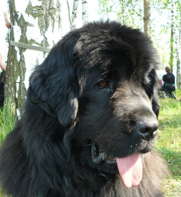 Фотография № 67670