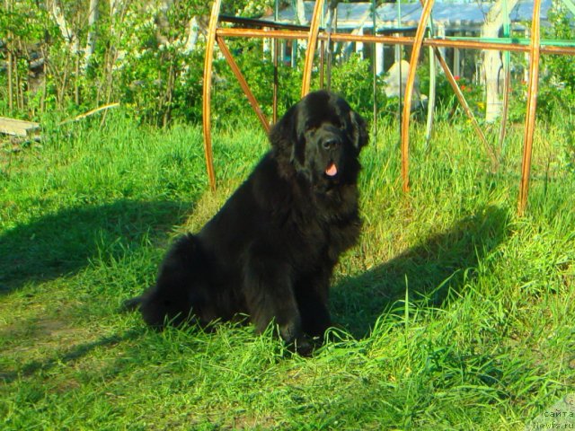 Фотография № 67679