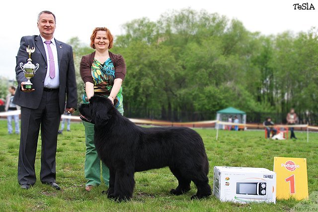 Фото: Татьяна Абутова