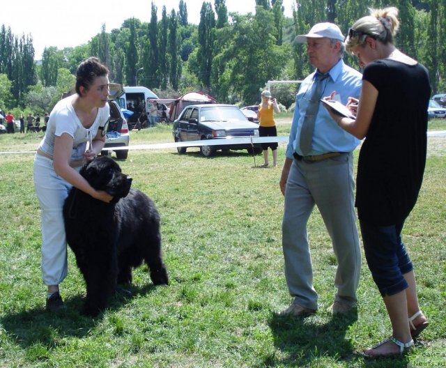 Фотография № 67695