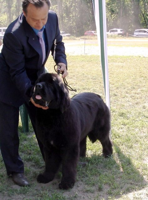 Фотография № 67699