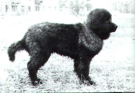 Фотография № 677