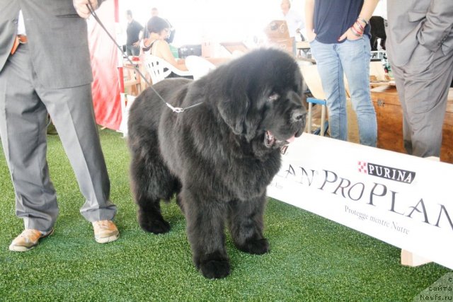 Фотография № 67751