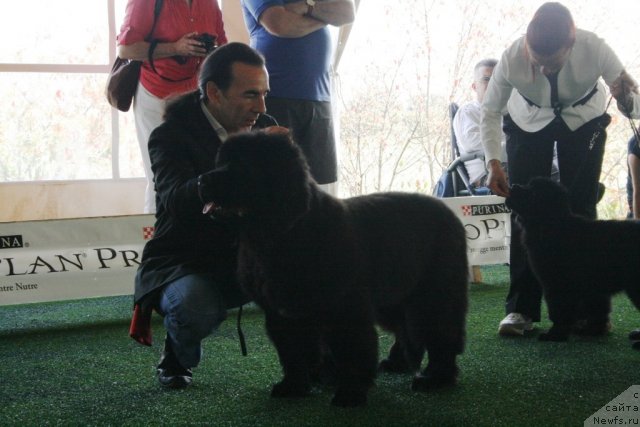 Фотография № 67754