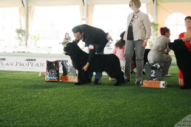 Фото: TWO WATER FALLS LAND JONATHAN