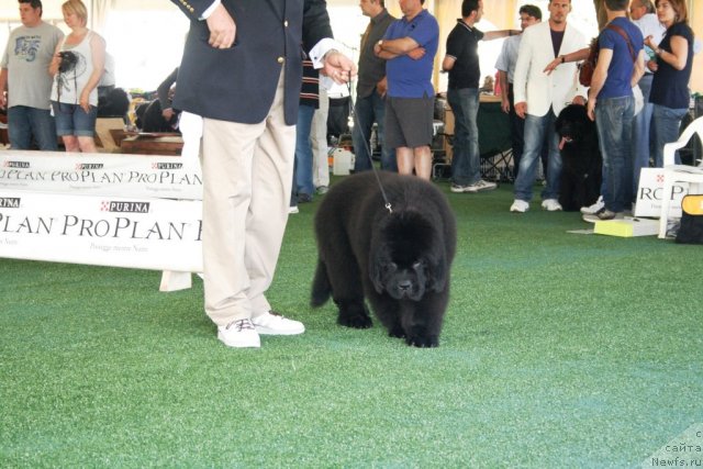 Фотография № 67762