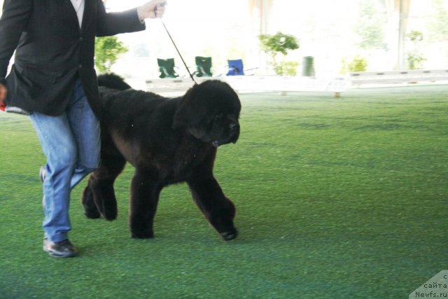 Фото: ANTARYAMIN UNCONDITIONAL LOVE