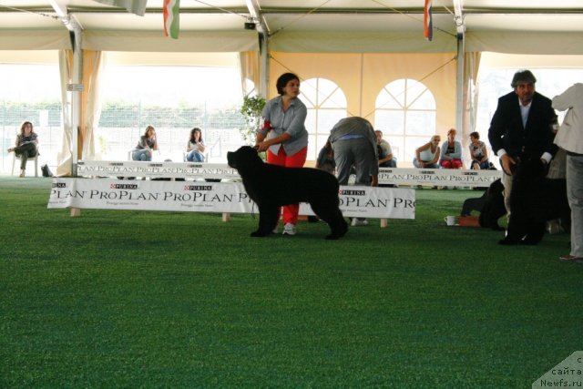 Фото: LITTLE BEARS CARISMA AT TICKLECOVE