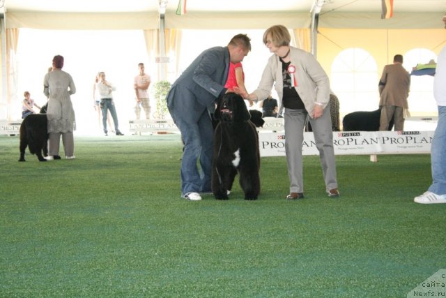 Фотография № 67767