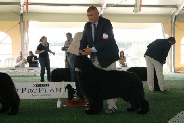 Фотография № 67768