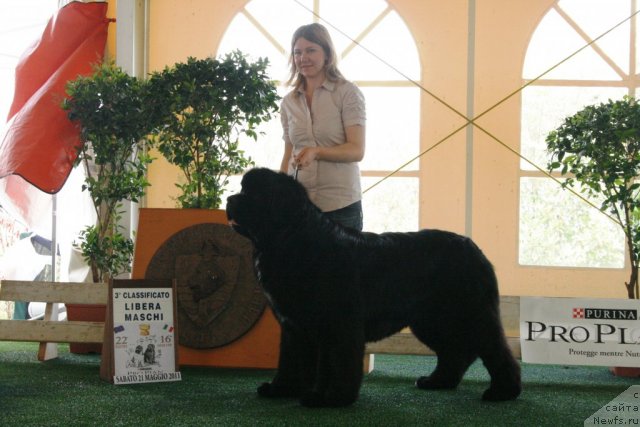 Фотография № 67771