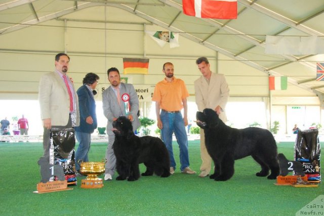 Фотография № 67783